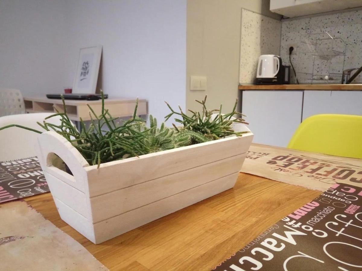 Quiet & Airy Modern Apt. Top Centre Free Parking 소피아 외부 사진